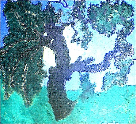 Luce interiore 